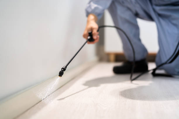 Bed Bug Pre-Treatment Preparation Assessment in Gotha