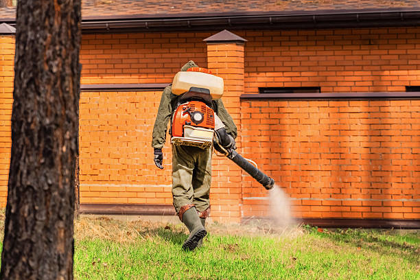Bed Bug Clearance Verification and Documentation in Gotha